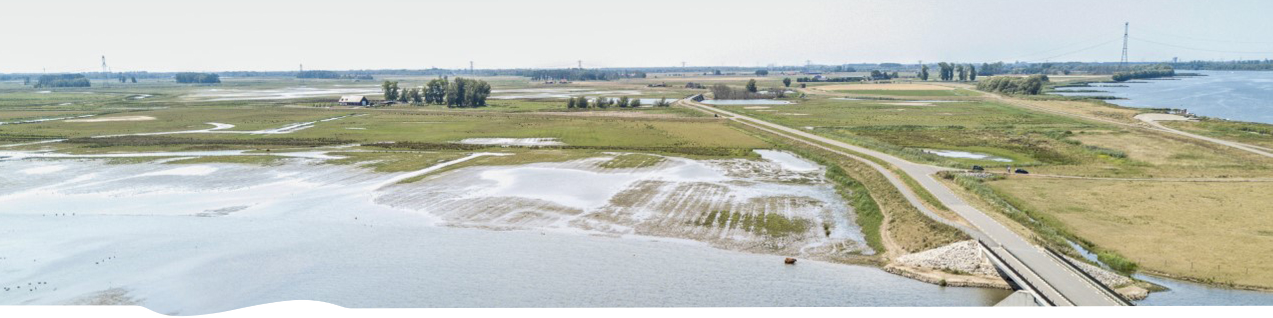 biesbosch