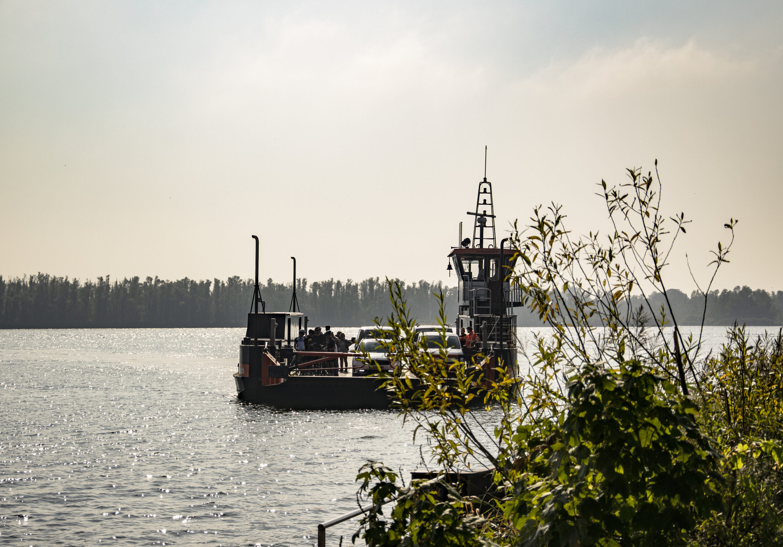DSC_1505_DordrechtBiesbosch